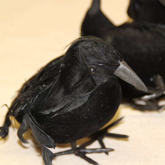 Vintage HALLOWEEN/SPOOKY Black Styrofoam and Feathered Ravens/Crows Lot of 5 - Picture 4 of 6